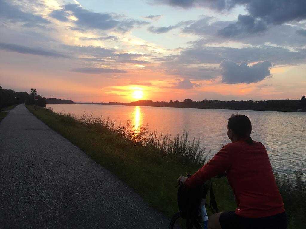 Donaupark Camping Tulln تولين المظهر الخارجي الصورة
