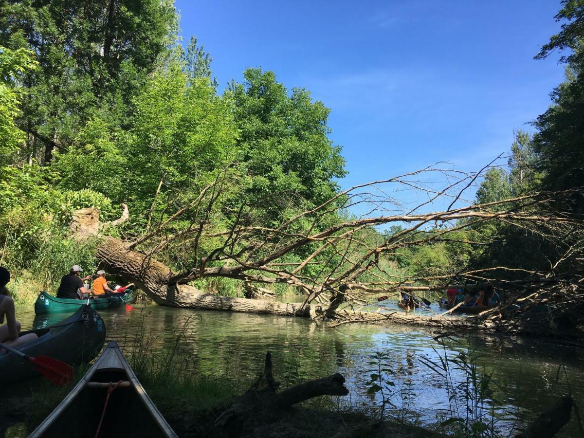 فندق تولينفي  Donaupark Camping Tulln المظهر الخارجي الصورة