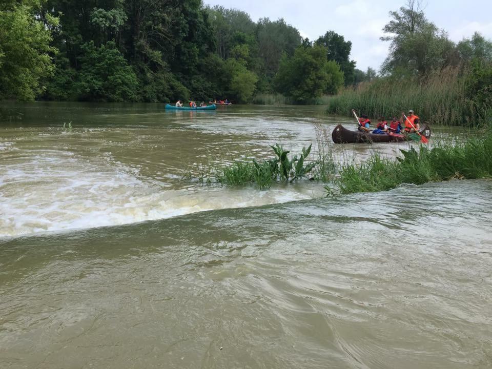 فندق تولينفي  Donaupark Camping Tulln المظهر الخارجي الصورة